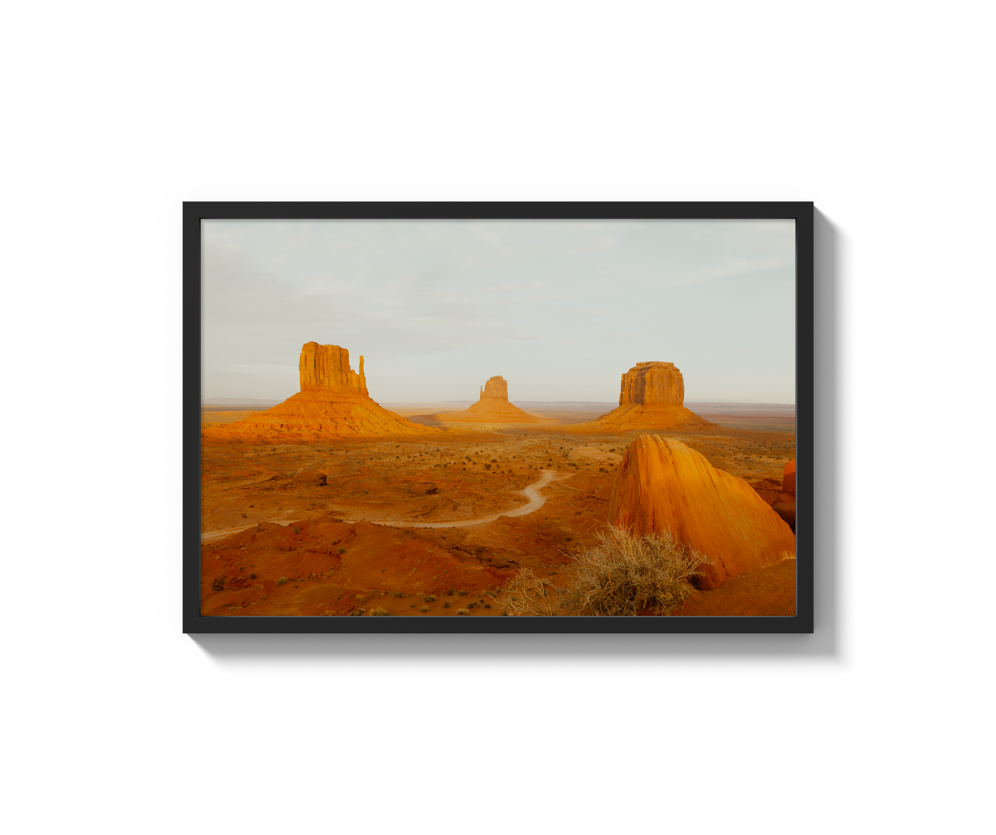 Navajo Nation