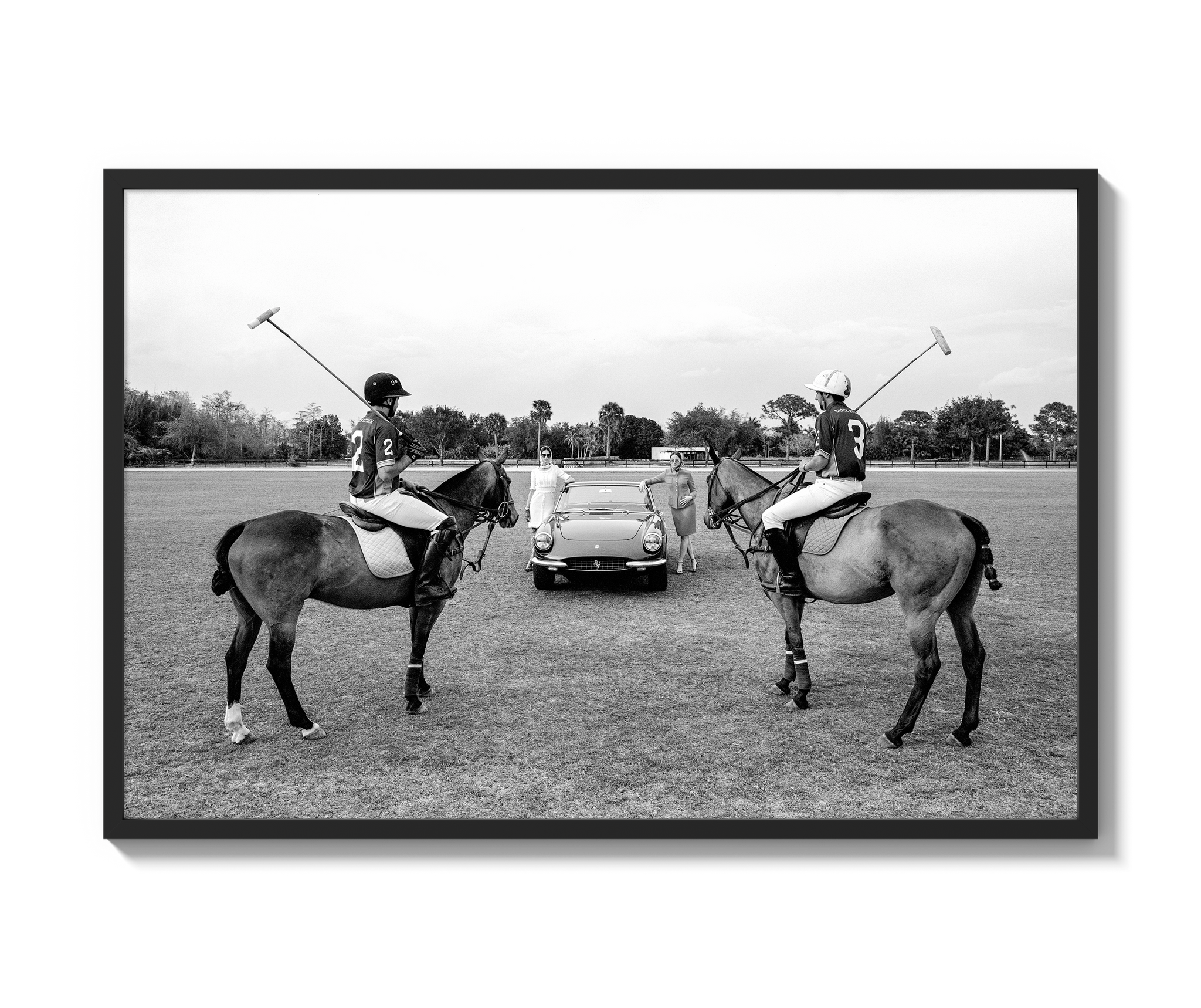 A Day of Polo