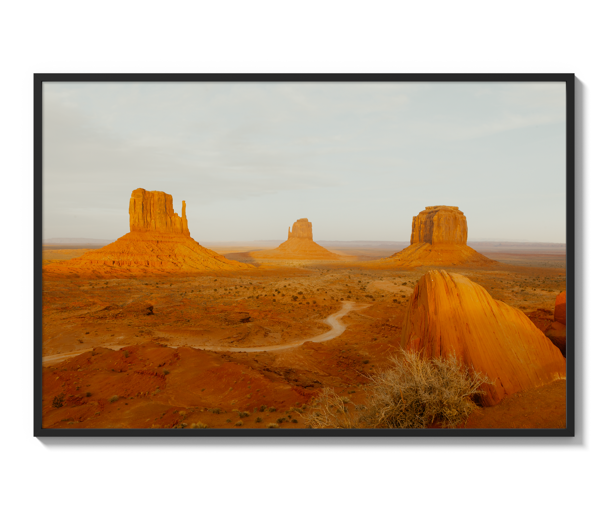 Navajo Nation