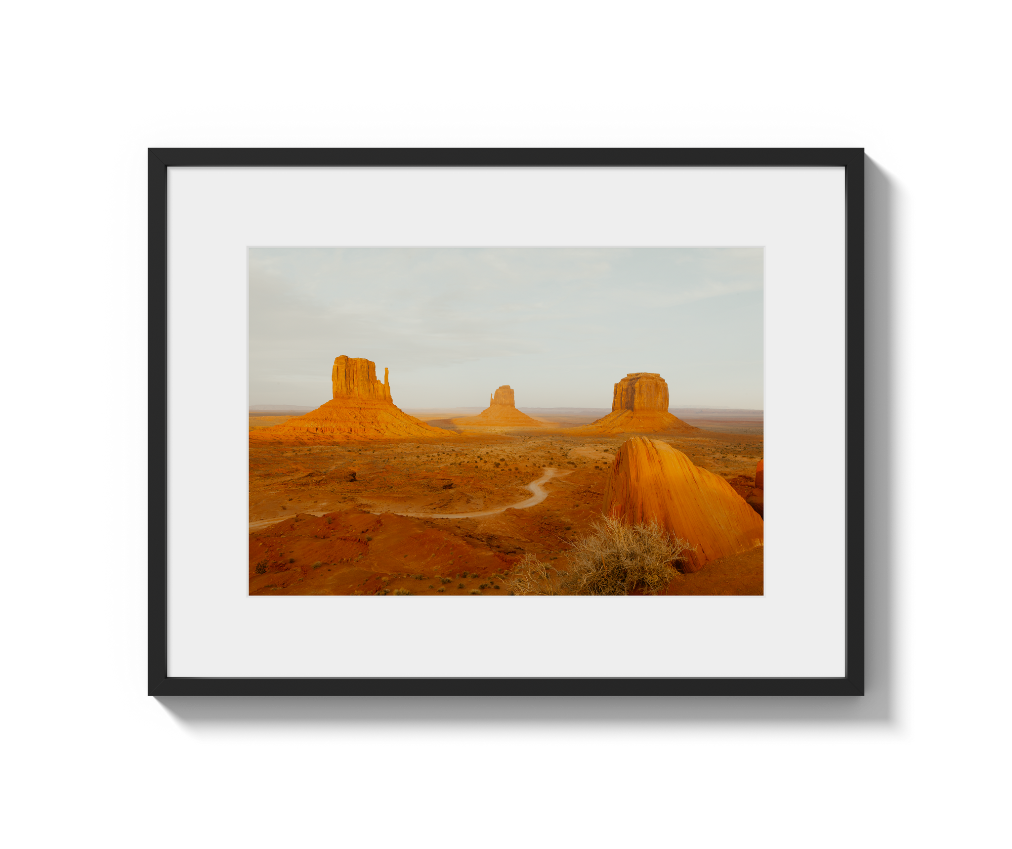 Navajo Nation