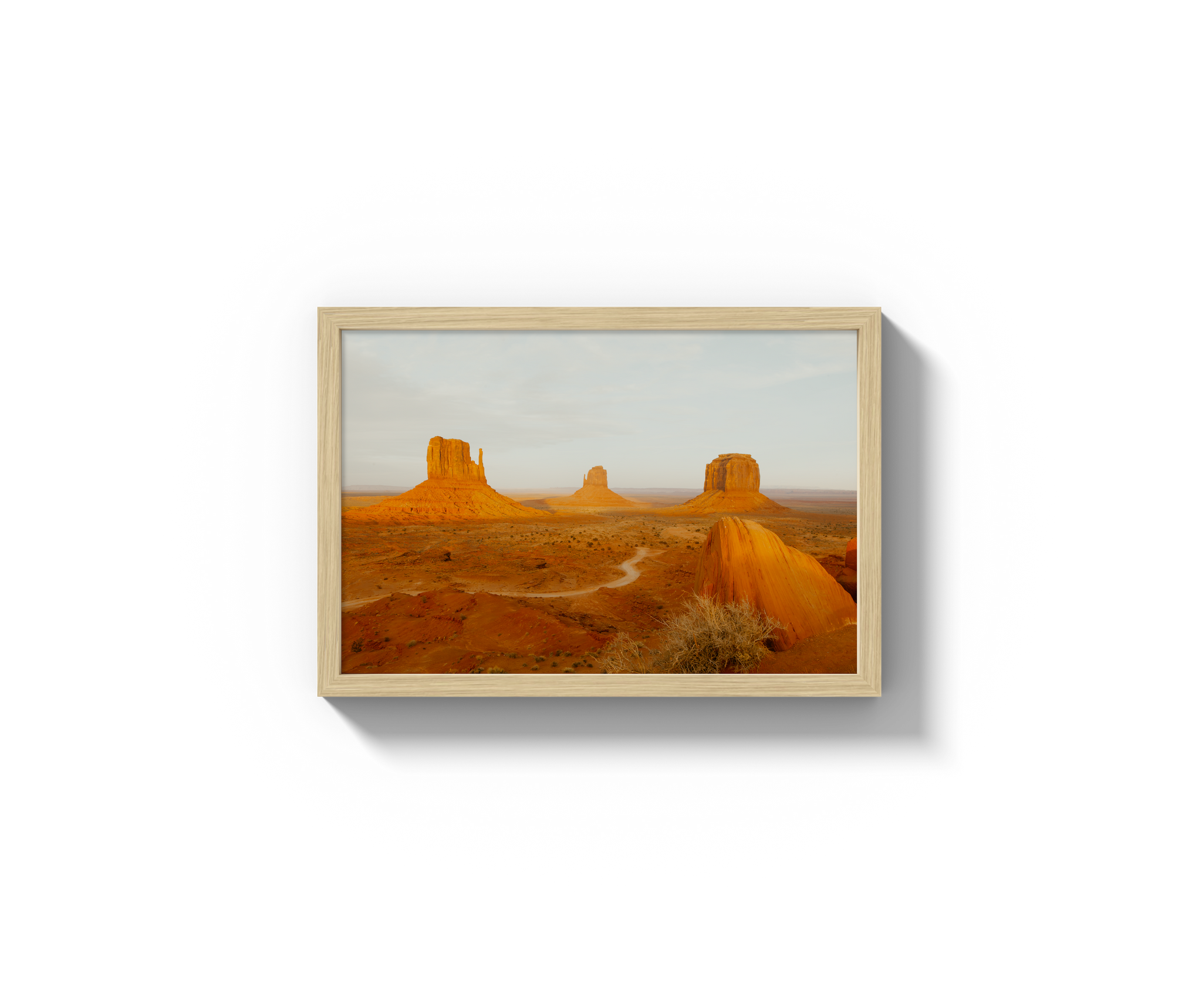 Navajo Nation