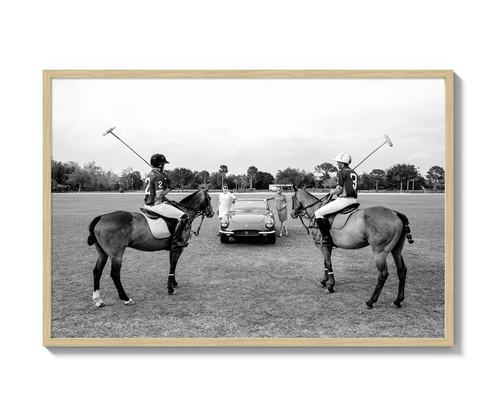 A Day of Polo