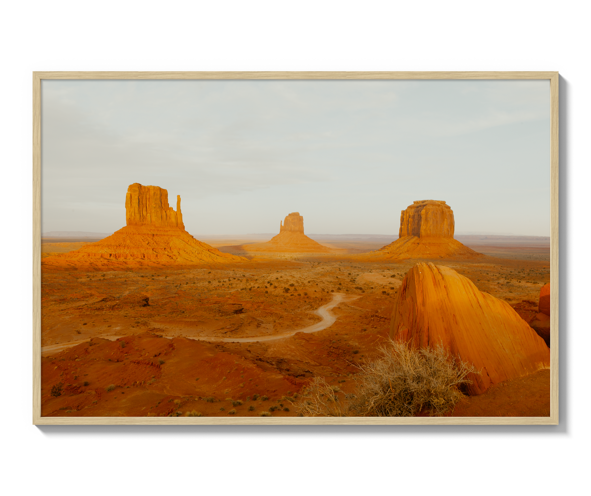 Navajo Nation