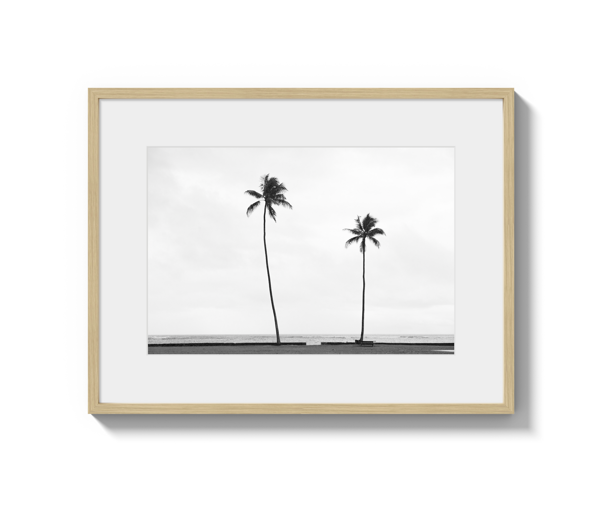 Palm Trees