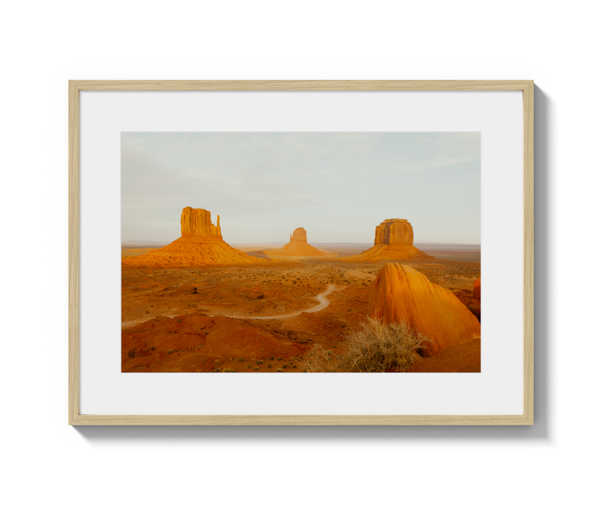 Navajo Nation