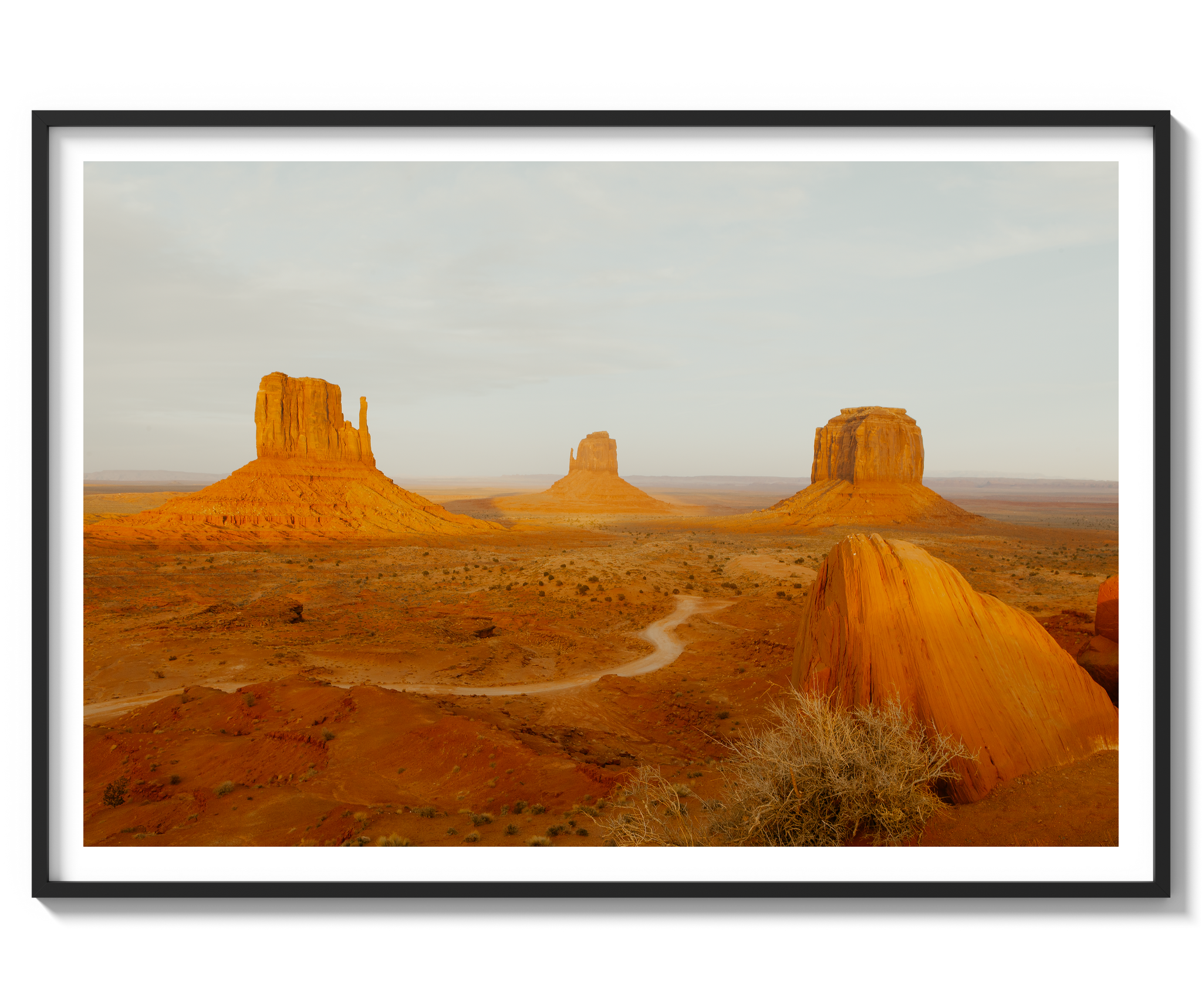 Navajo Nation