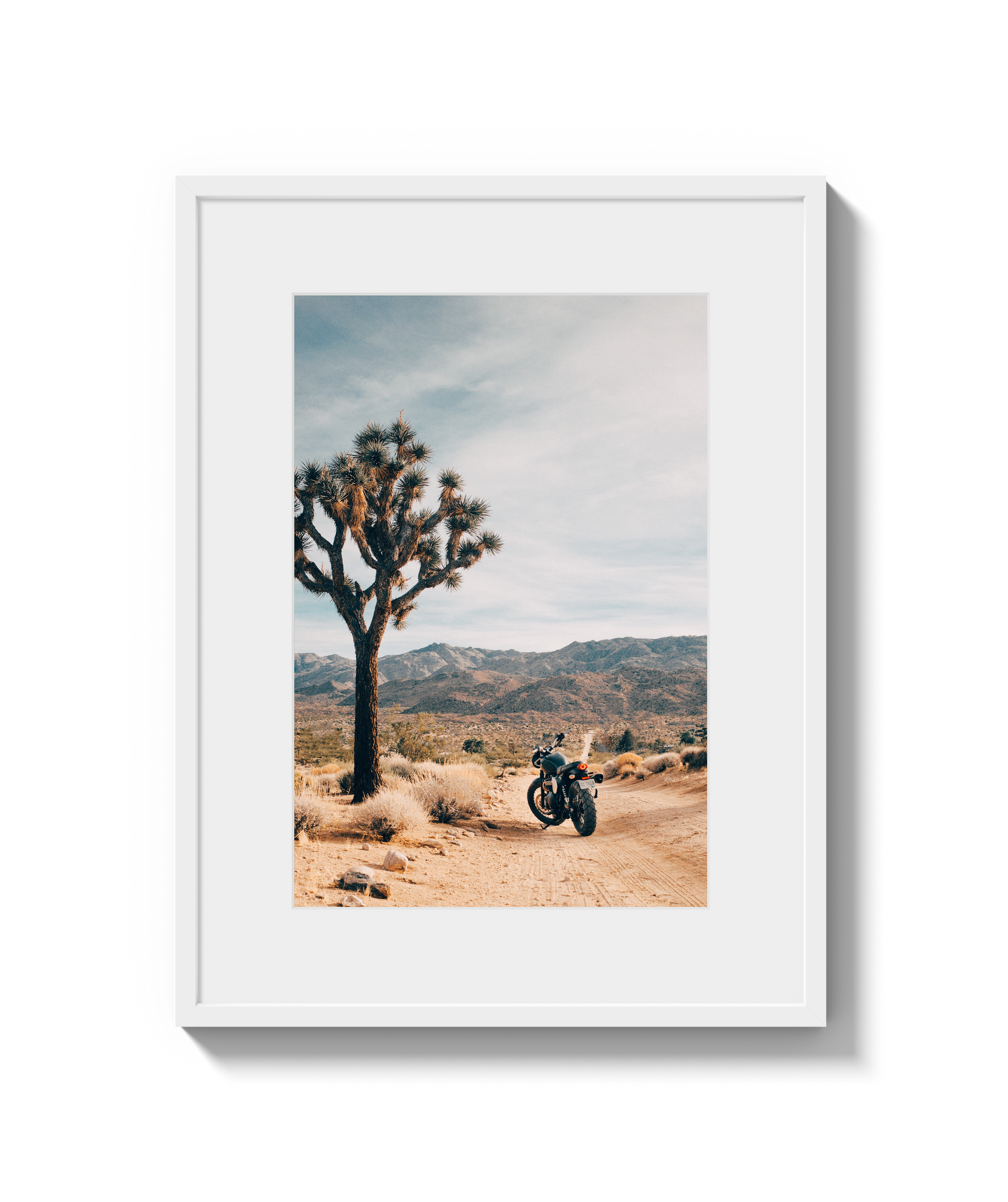 Joshua Tree IV