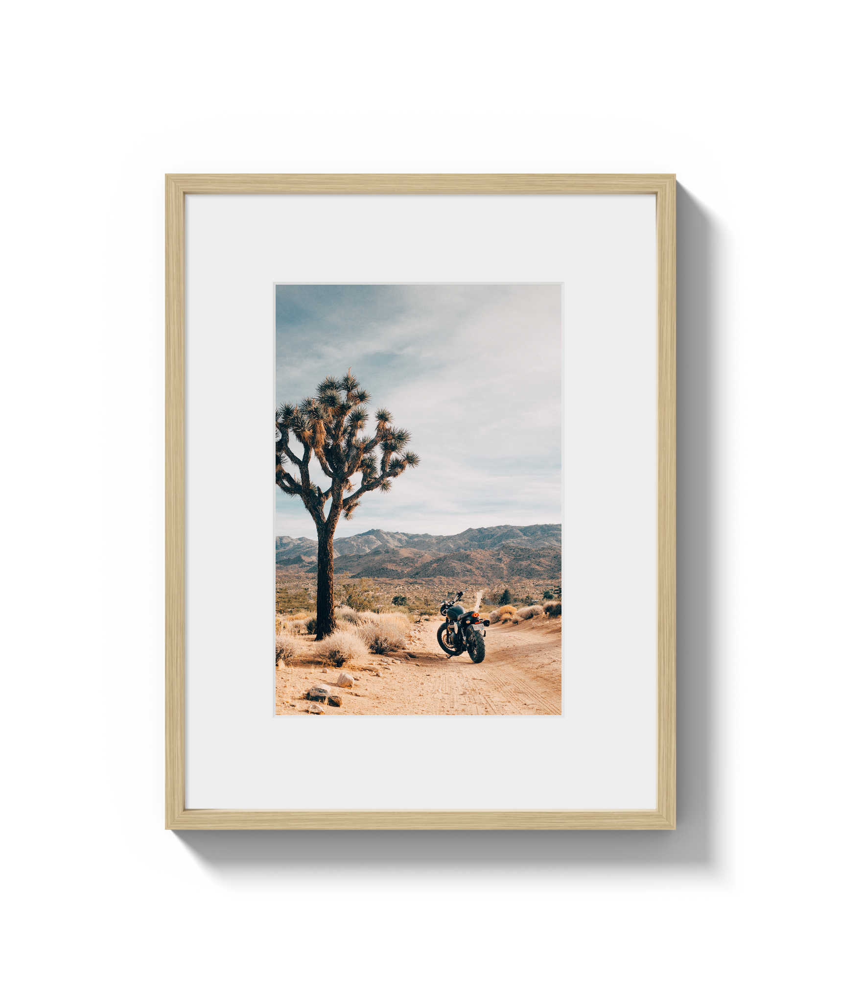 Joshua Tree IV