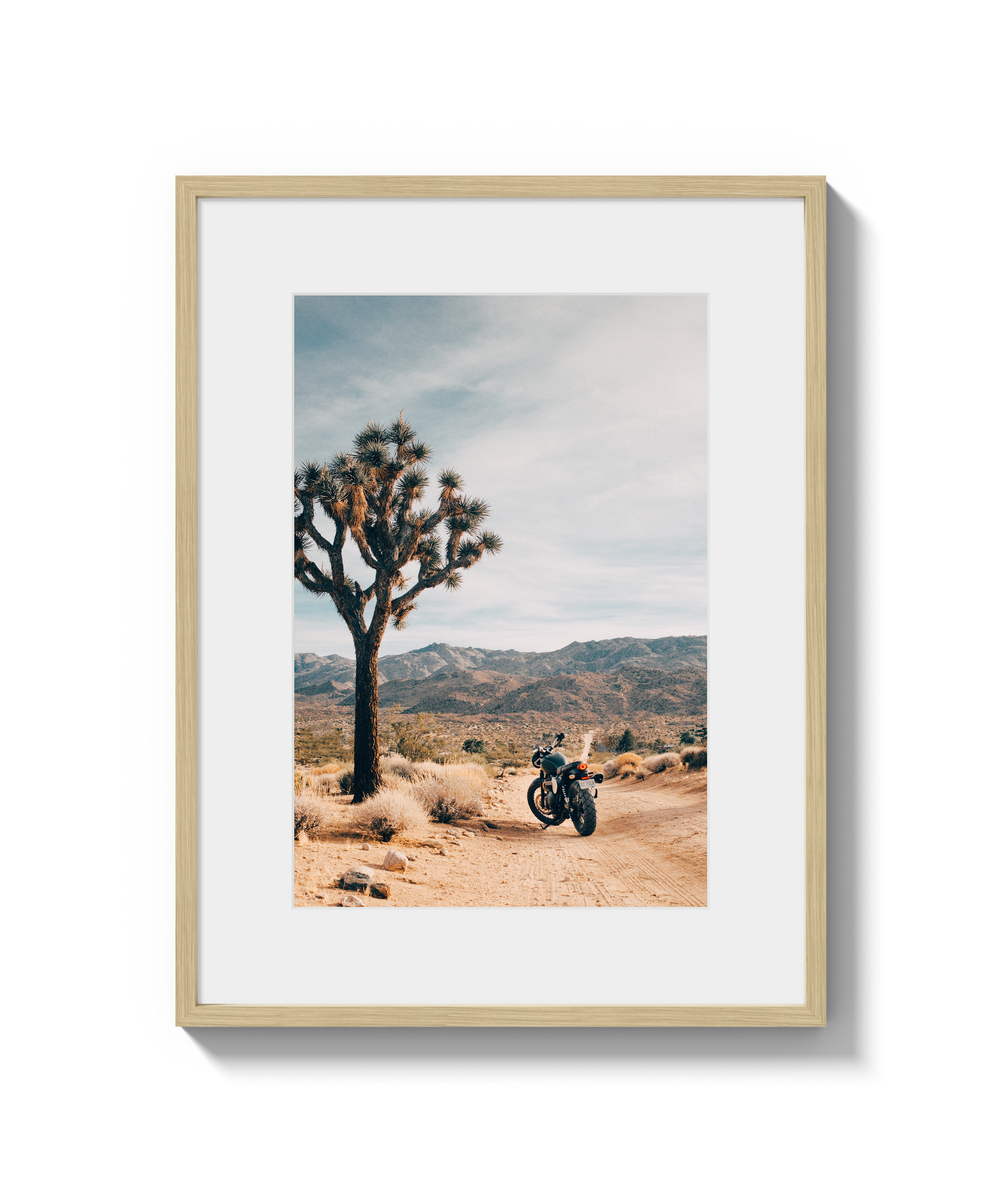 Joshua Tree IV