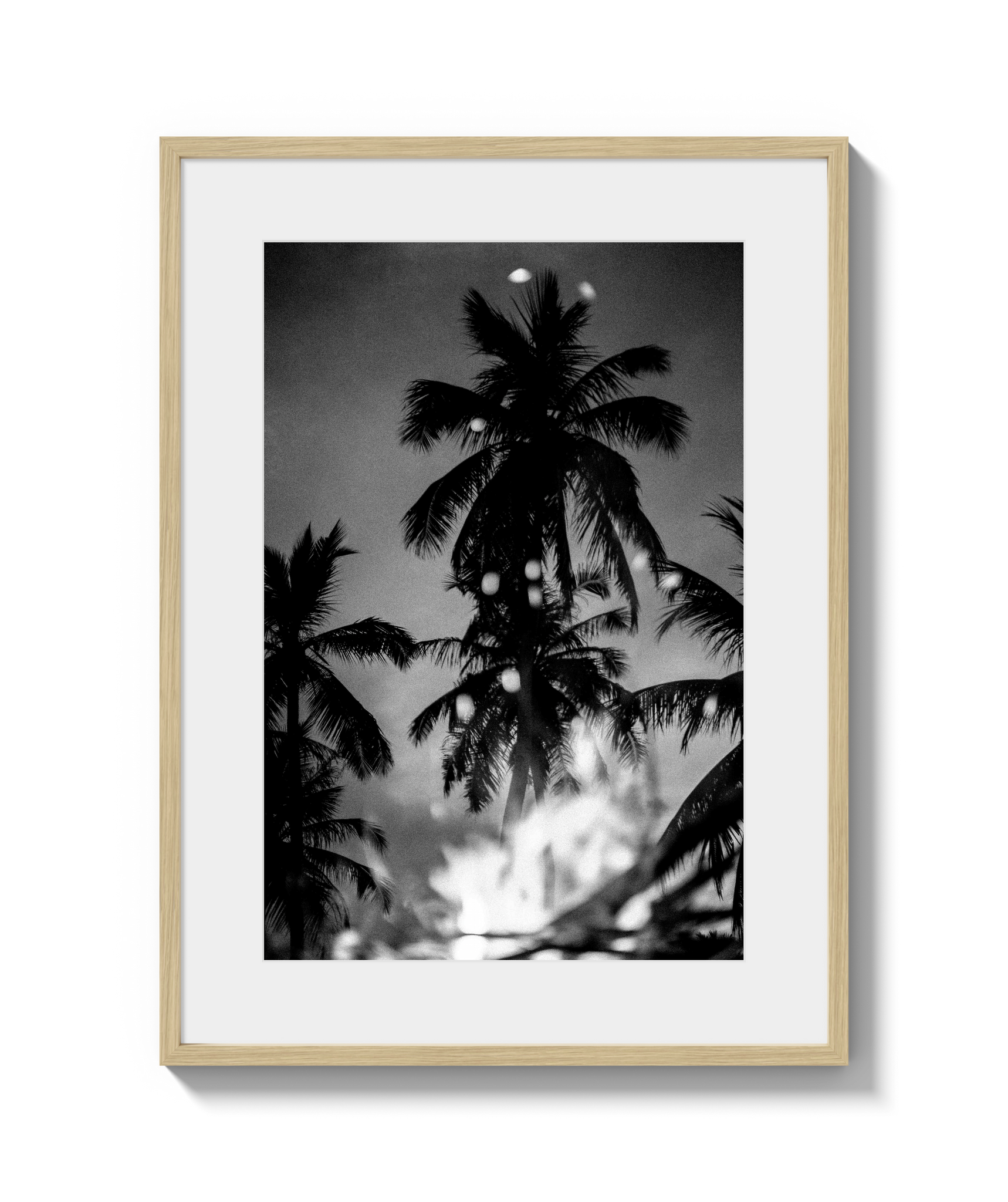 Palms