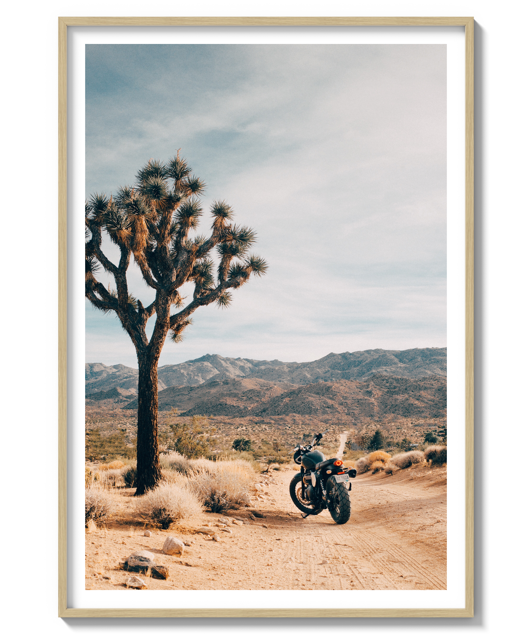 Joshua Tree IV