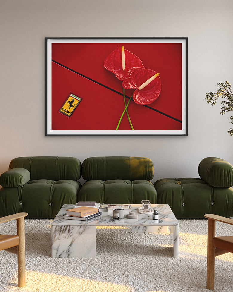 Anthurium Dream – House of Spoils