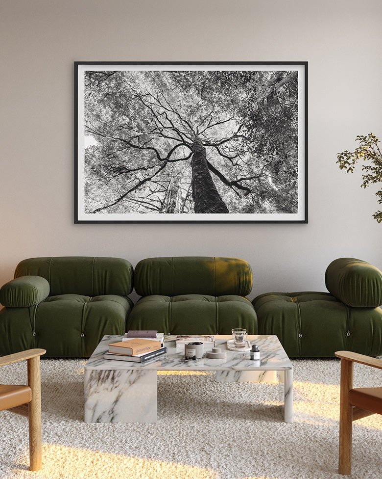 Takayna Tree – House of Spoils