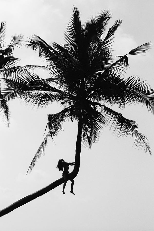 Take Me Higher