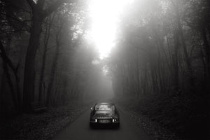 Fog