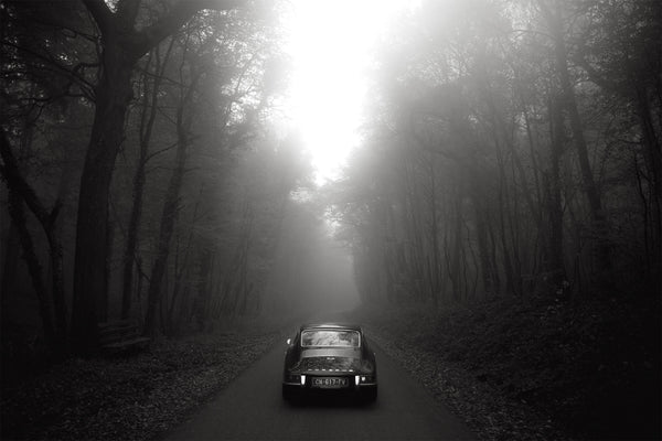 Fog